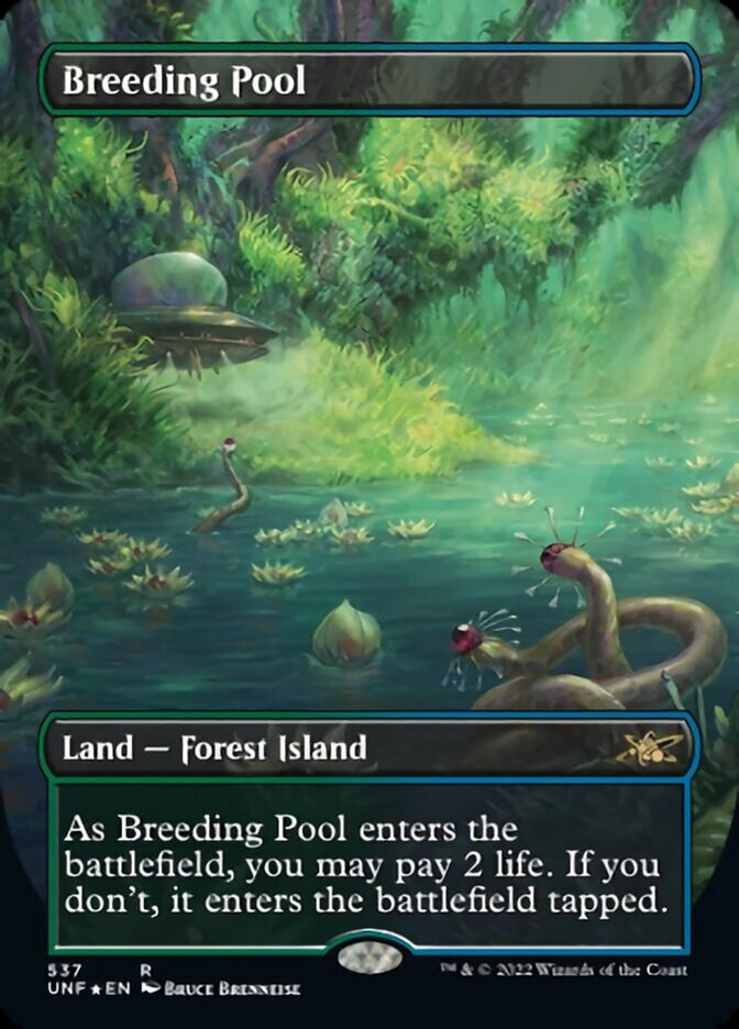 Breeding Pool (Borderless) (Galaxy Foil) [Unfinity] | Fandemonia Ltd