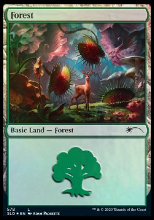 Forest (Predatory) (578) [Secret Lair Drop Promos] | Fandemonia Ltd