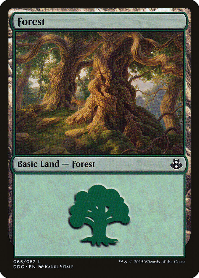 Forest (65) [Duel Decks: Elspeth vs. Kiora] | Fandemonia Ltd