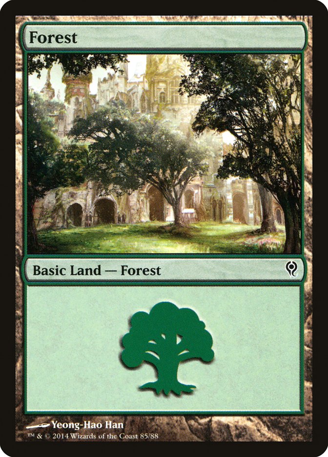 Forest (85) [Duel Decks: Jace vs. Vraska] | Fandemonia Ltd