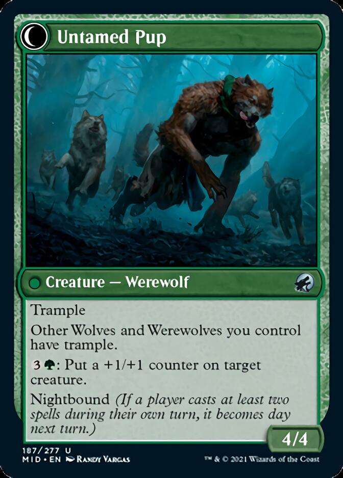 Hound Tamer // Untamed Pup [Innistrad: Midnight Hunt] | Fandemonia Ltd