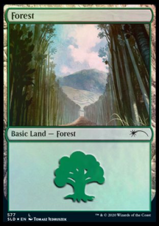 Forest (Walls) (577) [Secret Lair Drop Promos] | Fandemonia Ltd