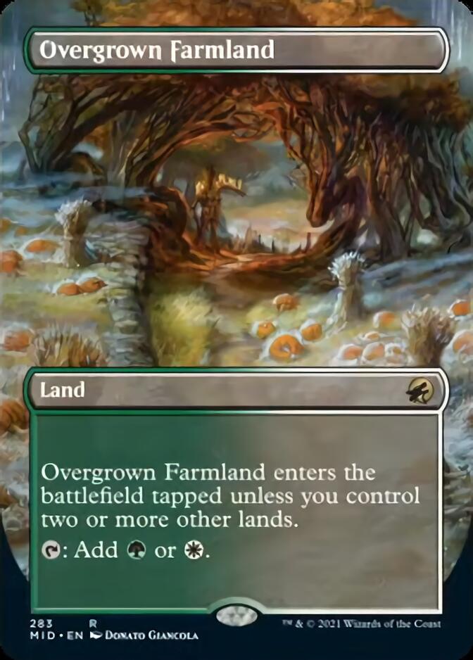 Overgrown Farmland (Borderless Alternate Art) [Innistrad: Midnight Hunt] | Fandemonia Ltd