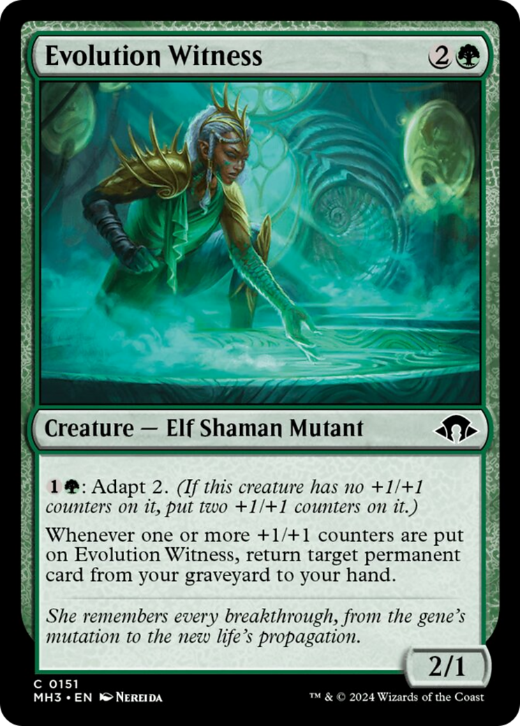 Evolution Witness [Modern Horizons 3] | Fandemonia Ltd