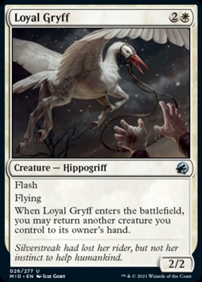 Loyal Gryff [Innistrad: Midnight Hunt] | Fandemonia Ltd