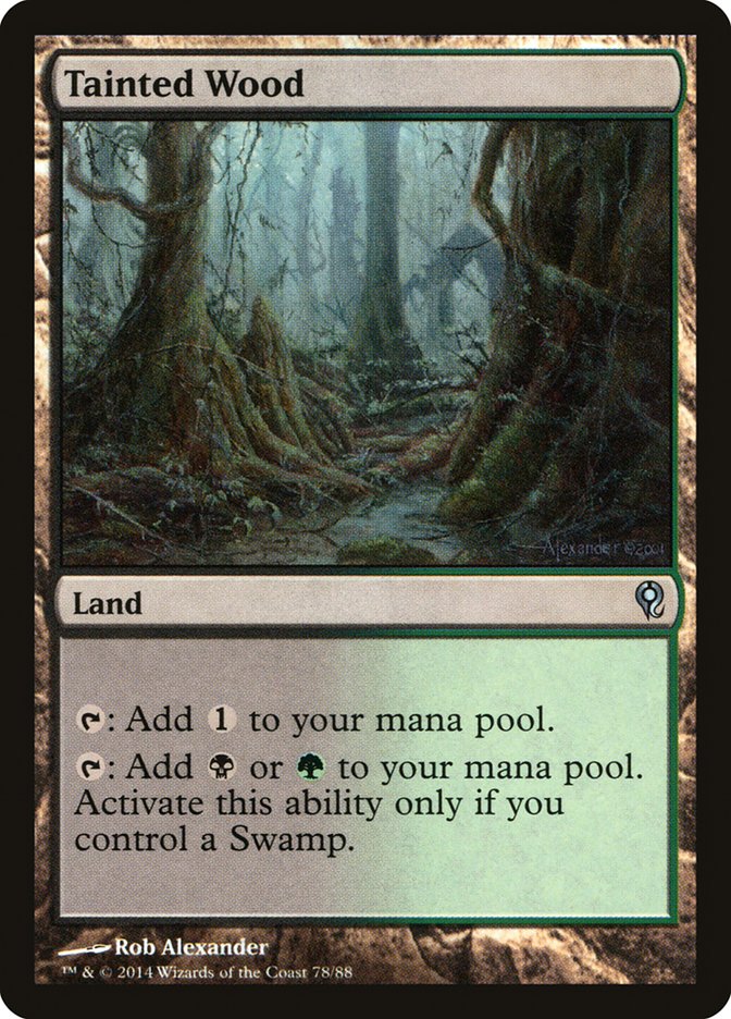 Tainted Wood [Duel Decks: Jace vs. Vraska] | Fandemonia Ltd