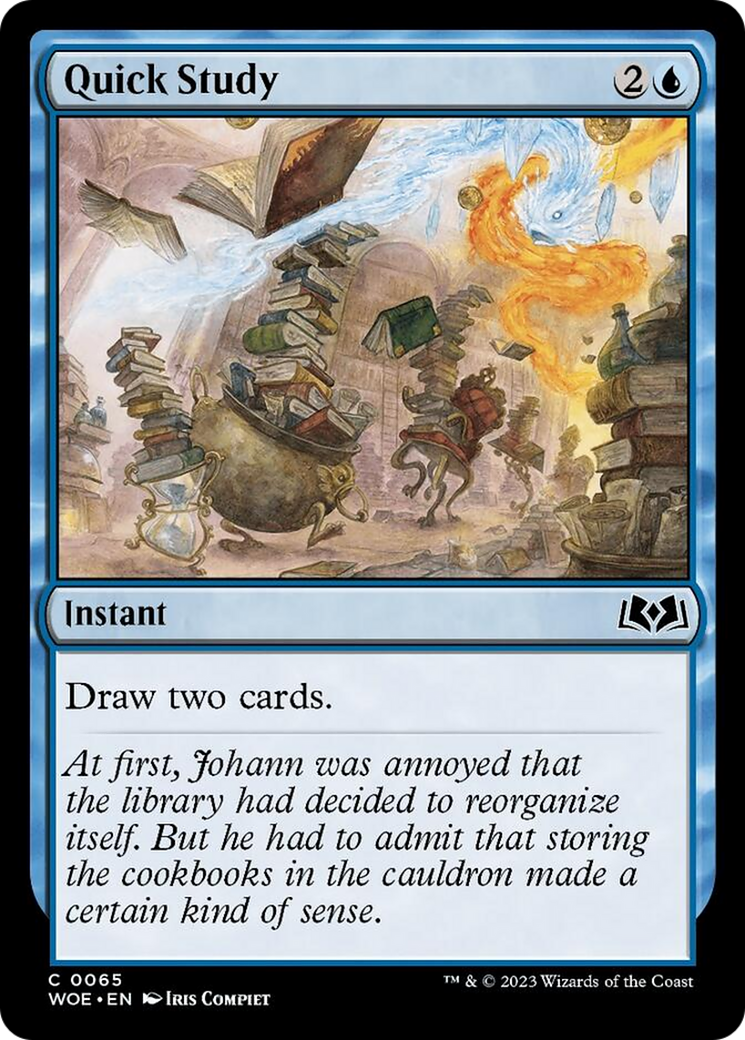 Quick Study [Wilds of Eldraine] | Fandemonia Ltd