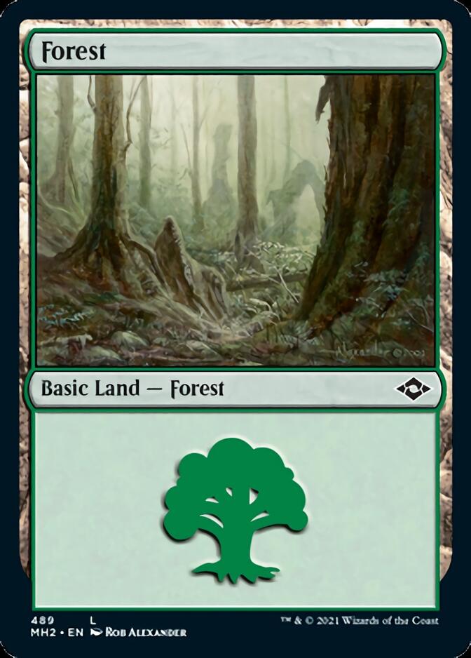 Forest (489) [Modern Horizons 2] | Fandemonia Ltd