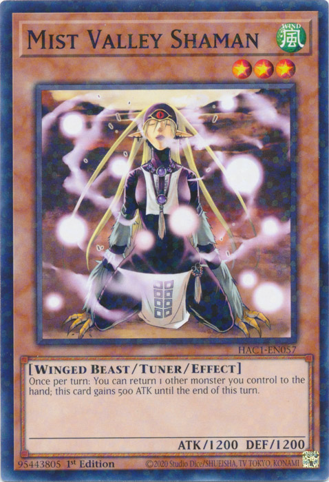 Mist Valley Shaman (Duel Terminal) [HAC1-EN057] Common | Fandemonia Ltd