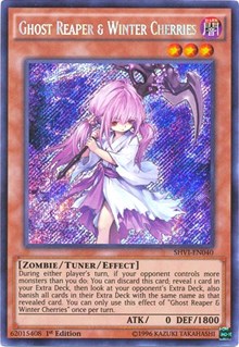 Ghost Reaper & Winter Cherries [SHVI-EN040] Secret Rare | Fandemonia Ltd
