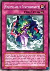 Ninjitsu Art of Transformation [DR2-EN164] Common | Fandemonia Ltd