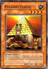 Pyramid Turtle [SD2-EN005] Common | Fandemonia Ltd