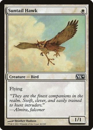 Suntail Hawk [Magic 2014] | Fandemonia Ltd