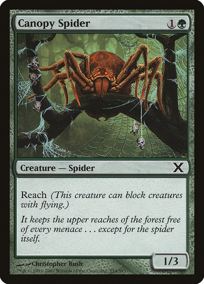 Canopy Spider [Tenth Edition] | Fandemonia Ltd