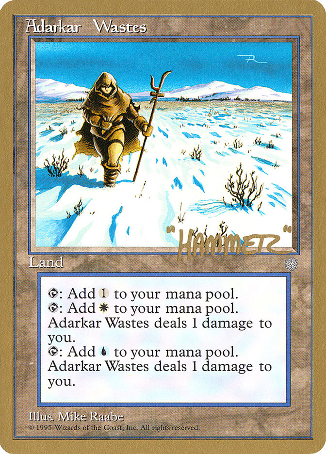 Adarkar Wastes (Shawn "Hammer" Regnier) [Pro Tour Collector Set] | Fandemonia Ltd
