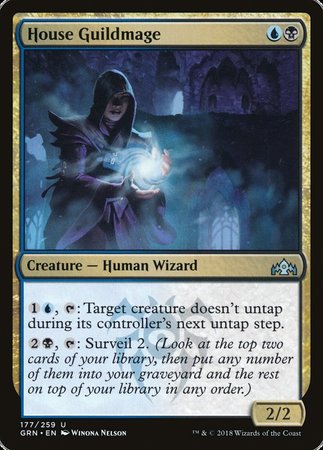 House Guildmage [Guilds of Ravnica] | Fandemonia Ltd