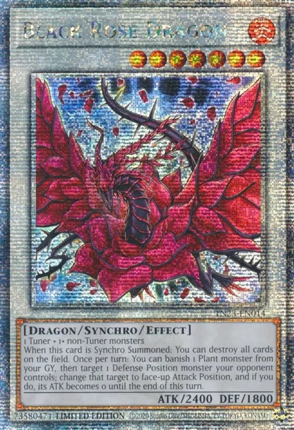Black Rose Dragon [TN23-EN014] Quarter Century Secret Rare | Fandemonia Ltd