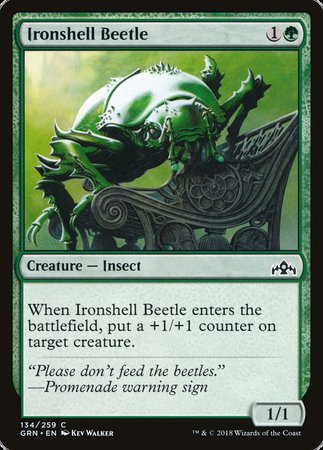 Ironshell Beetle [Guilds of Ravnica] | Fandemonia Ltd