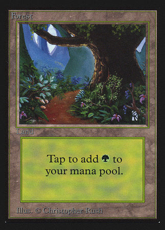 Forest (Path)(IE) [Intl. Collectors’ Edition] | Fandemonia Ltd