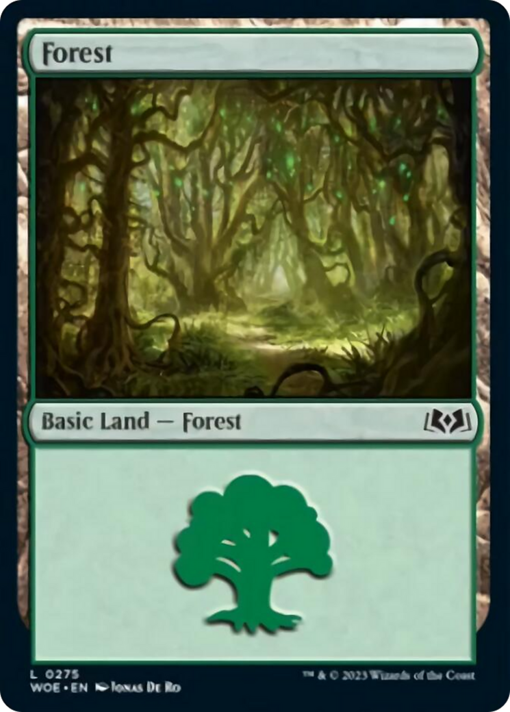 Forest (0275) [Wilds of Eldraine] | Fandemonia Ltd