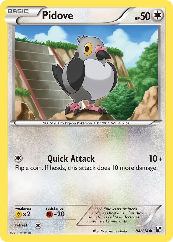 Pidove (84/114) [Black & White: Base Set] | Fandemonia Ltd