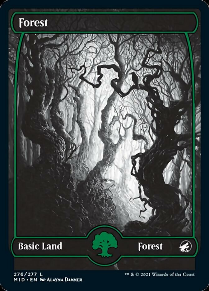 Forest (276) [Innistrad: Midnight Hunt] | Fandemonia Ltd