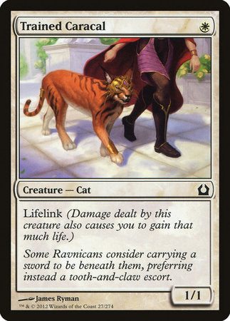Trained Caracal [Return to Ravnica] | Fandemonia Ltd