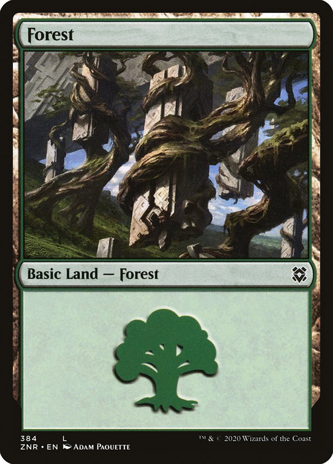 Forest (384) [Zendikar Rising] | Fandemonia Ltd
