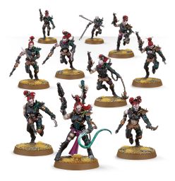drukhari wyches | Fandemonia Ltd