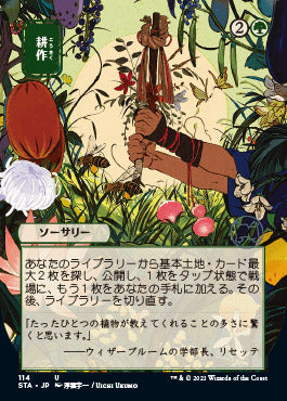 Cultivate (Japanese) [Strixhaven Mystical Archive] | Fandemonia Ltd
