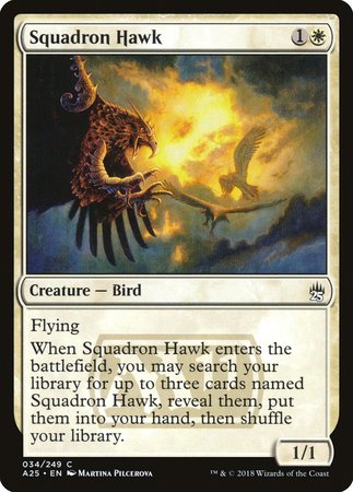 Squadron Hawk [Masters 25] | Fandemonia Ltd