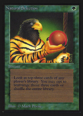 Natural Selection (IE) [Intl. Collectors’ Edition] | Fandemonia Ltd