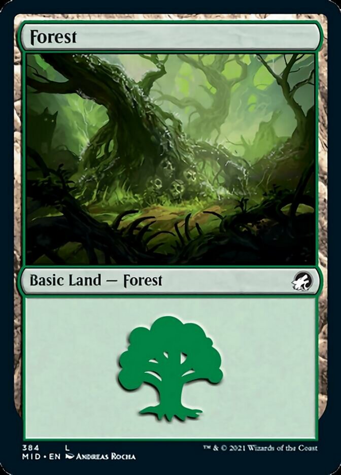 Forest (384) [Innistrad: Midnight Hunt] | Fandemonia Ltd