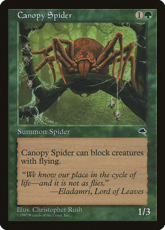 Canopy Spider [Tempest] | Fandemonia Ltd
