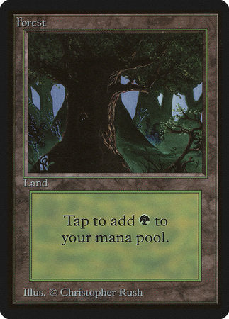 Forest (C) [Limited Edition Beta] | Fandemonia Ltd