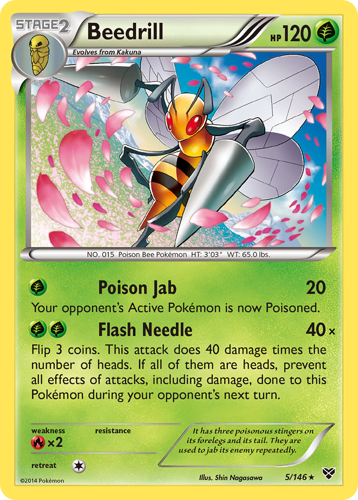 Beedrill (5/146) [XY: Base Set] | Fandemonia Ltd