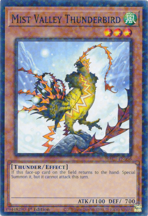 Mist Valley Thunderbird (Duel Terminal) [HAC1-EN056] Common | Fandemonia Ltd