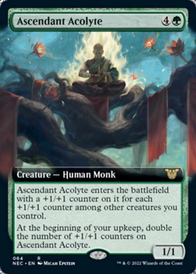Ascendant Acolyte (Extended) [Kamigawa: Neon Dynasty Commander] | Fandemonia Ltd