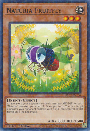 Naturia Fruitfly (Duel Terminal) [HAC1-EN106] Common | Fandemonia Ltd