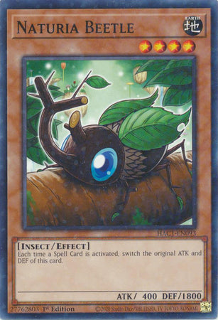 Naturia Beetle (Duel Terminal) [HAC1-EN093] Common | Fandemonia Ltd