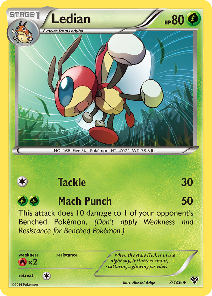 Ledian (7/146) [XY: Base Set] | Fandemonia Ltd