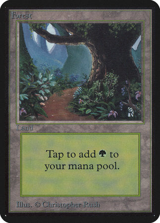 Forest (B) [Limited Edition Alpha] | Fandemonia Ltd