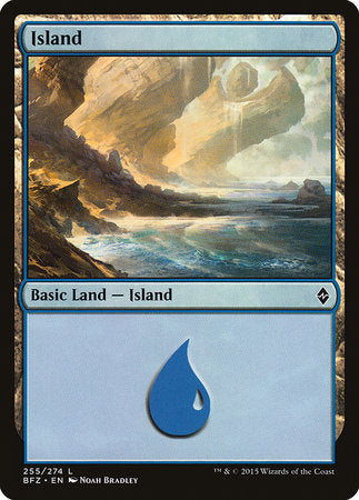 Island (255) [Battle for Zendikar] | Fandemonia Ltd