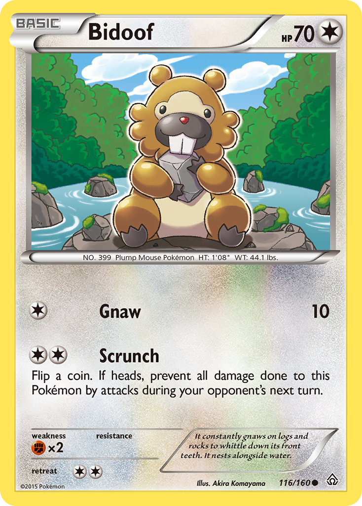Bidoof (116/160) [XY: Primal Clash] | Fandemonia Ltd